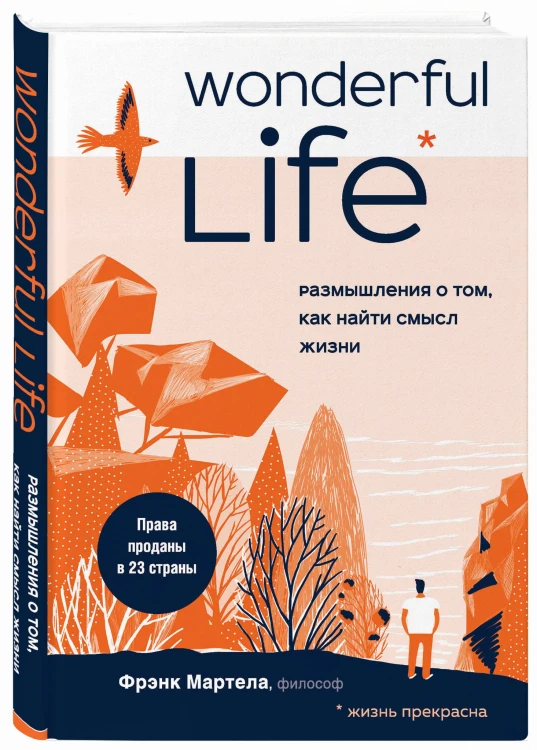 Wonderful Life. Размышления о том, как найти смысл жизни