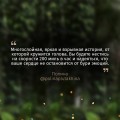 Предел скорости