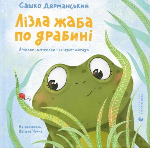 14.webp