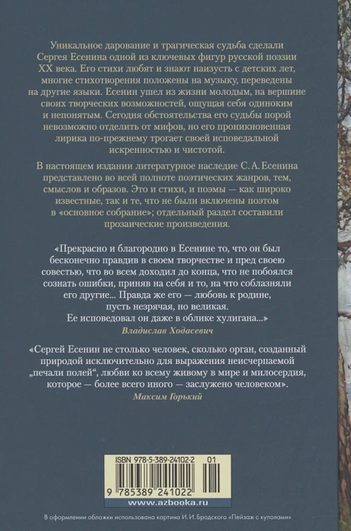 Мне осталась одна забава2.webp