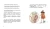 004.webp