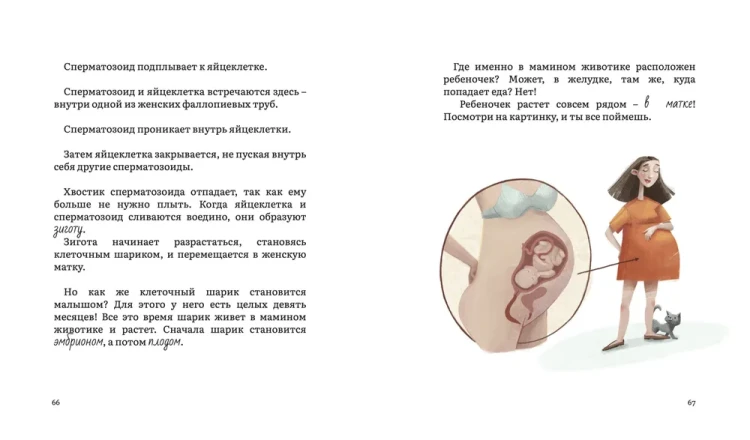 004.webp