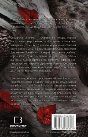 Плоть і вогонь. Книга 1- Тінь у жариві3.webp