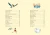 3.webp