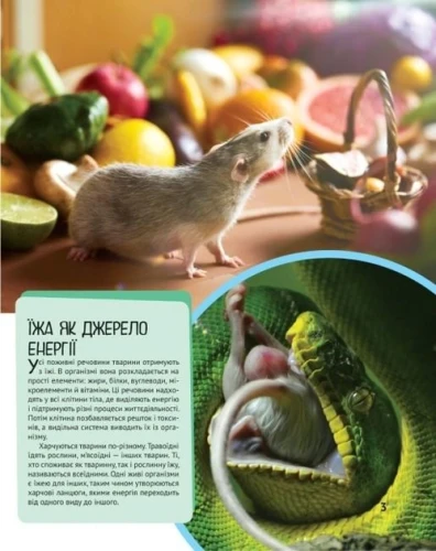 3.webp