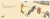 005.webp