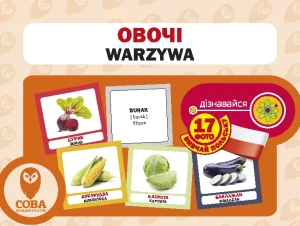 Овочі Warzywa  Вивчай польську