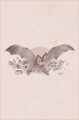 004.webp