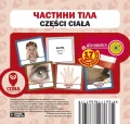 Частини тіла (польсько-українські).webp