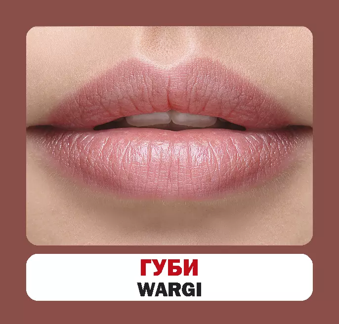 Частини тіла (польсько-українські)2.webp