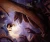 004.webp