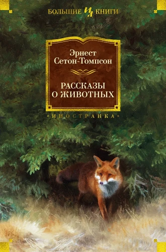 001.webp