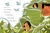 002.webp