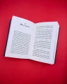 004.webp