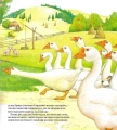 003.webp