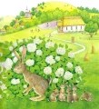 005.webp