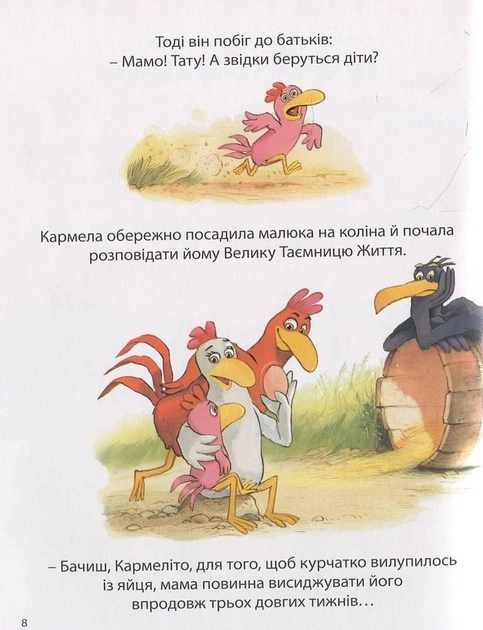 005.webp