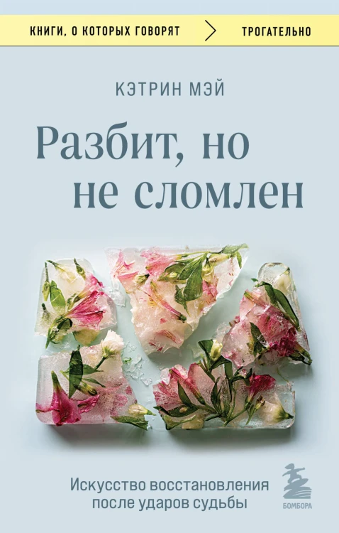 Разбит, но не сломлен. Искусство восстановления после ударов судьбы