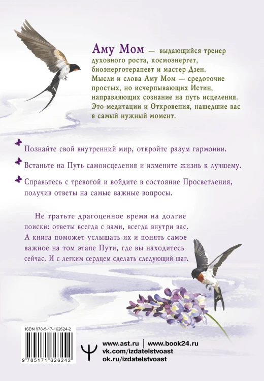 Энергии Дзен для самоисцеления, созидания и равновесия. Путь в Страну Мудрости
