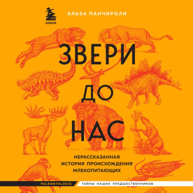 Звери до нас. Нерассказанная история происхождения млекопитающих