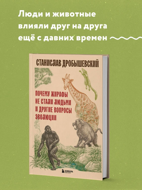 Почему жирафы не стали людьми и другие вопросы эволюции