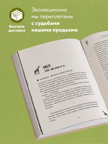 Почему жирафы не стали людьми и другие вопросы эволюции