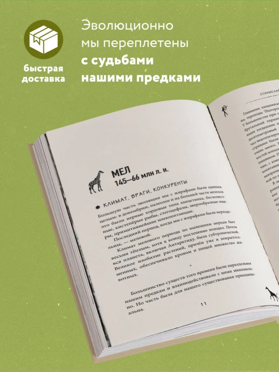 Почему жирафы не стали людьми и другие вопросы эволюции