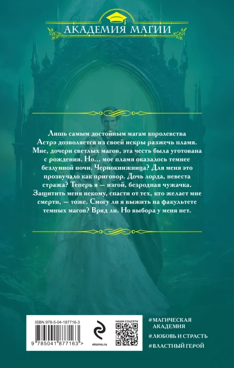 Академия сумерек. Темное пламя