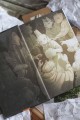 Чучело. Вечные истории. Young Adult