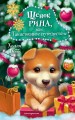 Щенок Рина, или Таинственное путешествие