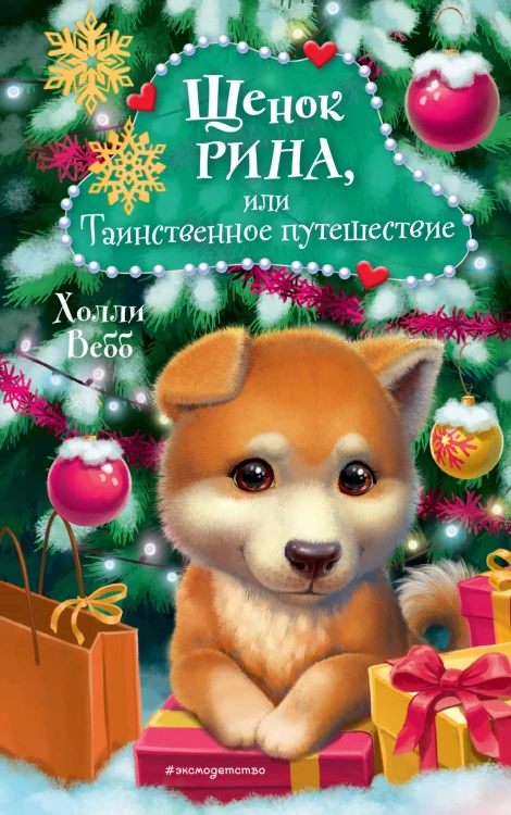 Щенок Рина, или Таинственное путешествие