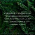 Энциклопедия хвойных растений. Вечнозелёные долгожители в вашем саду