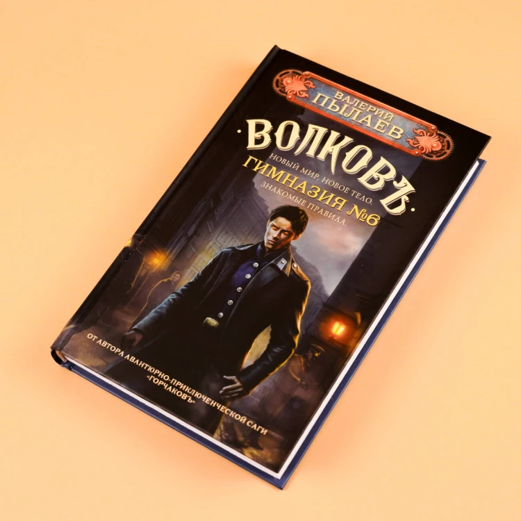 Волков. Гимназия №6