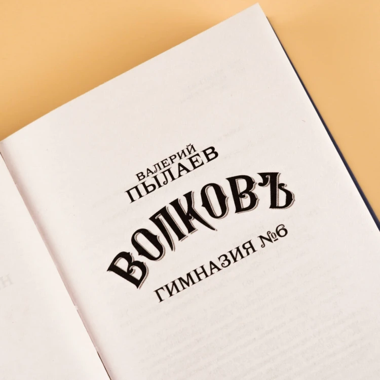 Волков. Гимназия №6
