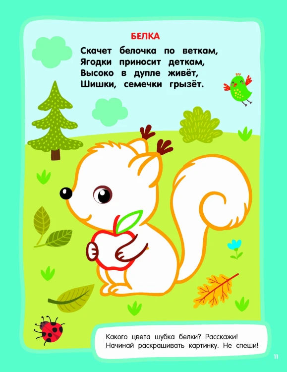 Животные. Раскраски с широким контуром