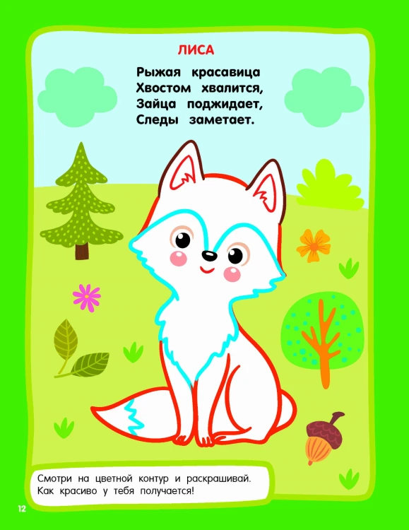 Животные. Раскраски с широким контуром