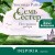 Семь сестер. Потерянная сестра