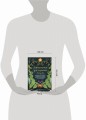 Заклинания для хорошей жизни. Ведьмовское руководство по переменам к лучшему, привлечению благополучия и созданию чудес