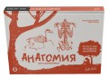 Анатомия для художников. Экспресс-курс + скетчбук