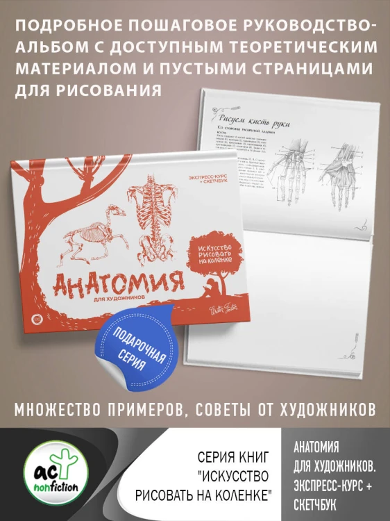 Анатомия для художников. Экспресс-курс + скетчбук