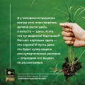 Сорняки под контролем. Избавляемся от нежелательных соседей