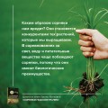 Сорняки под контролем. Избавляемся от нежелательных соседей