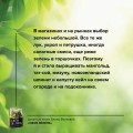 Своя зелень. Выращиваем, ухаживаем и едим