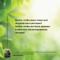 Своя зелень. Выращиваем, ухаживаем и едим