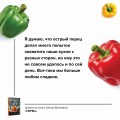 Перец. Выращиваем, ухаживаем и едим