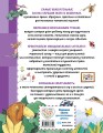 Сказки о животных. Осознанное чтение для развития креативного мышления