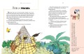 Сказки о животных. Осознанное чтение для развития креативного мышления