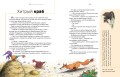 Сказки о животных. Осознанное чтение для развития креативного мышления