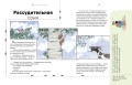 Сказки о животных. Осознанное чтение для развития креативного мышления