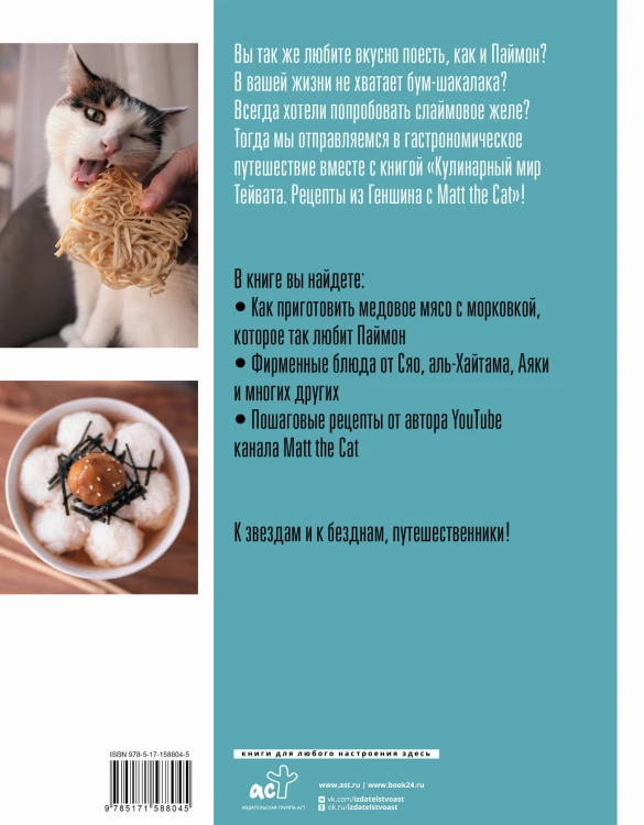 Кулинарный мир Тейвата. Рецепты из Геншина с Matt the Cat